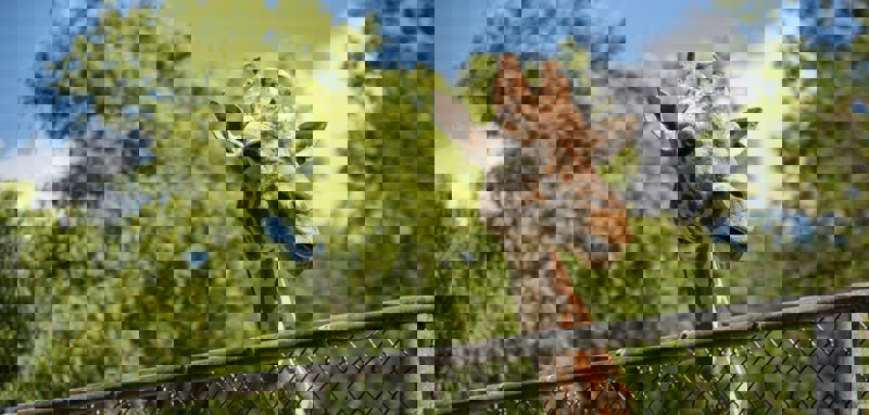 Alexander Ross Myeq2rh1px0 Unsplash